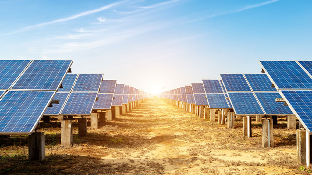 Regulations and rate cuts to drive renewable energy growth