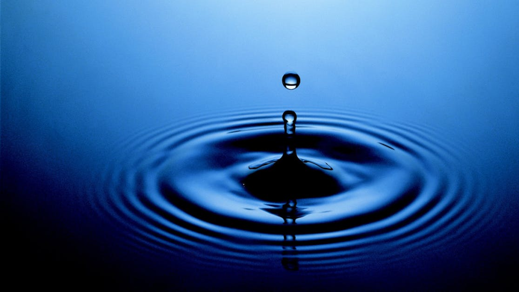 IRS priorities may be shifting under new administration